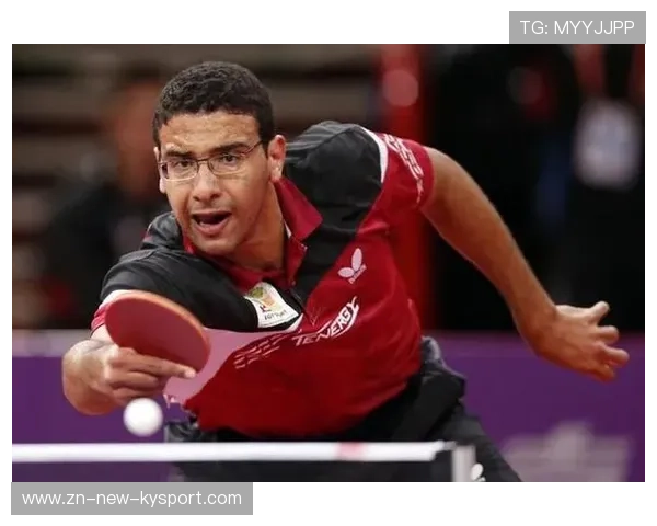 2024年埃及队表现：混合团体世界杯赛场的拼搏与成长，埃及2022世界杯